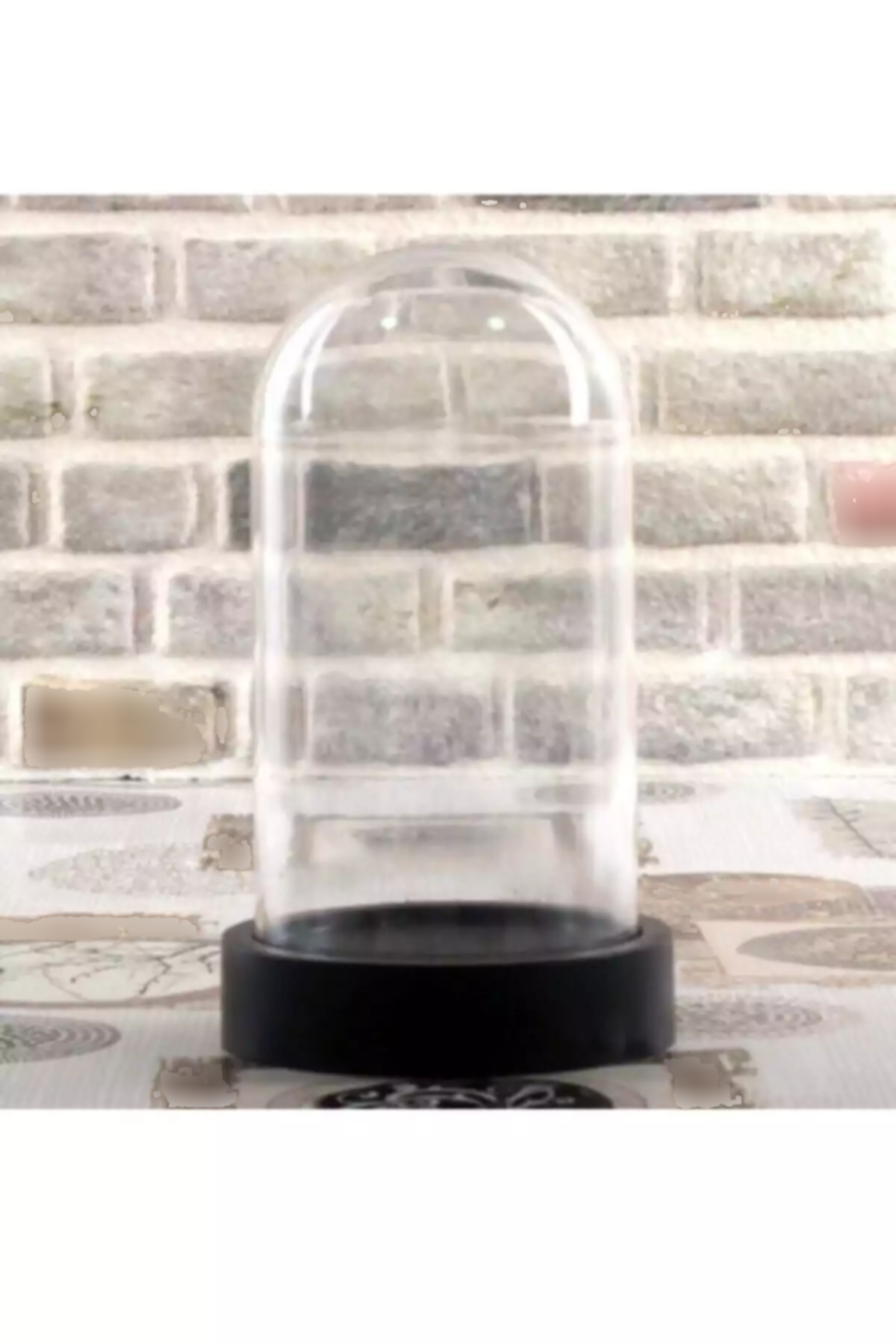 فانوس Terrarium برند ALSHOP کد 1753589468