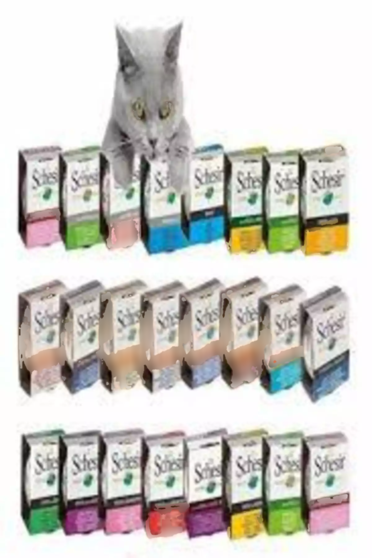 بسته 12عدد گربه برند Schesir کد 1753650731