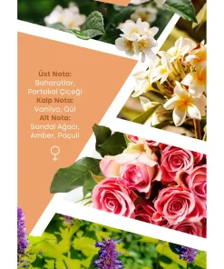 ادکلن 100میلی لیتر انتخابی برند Mad Parfüm کد 1753371012