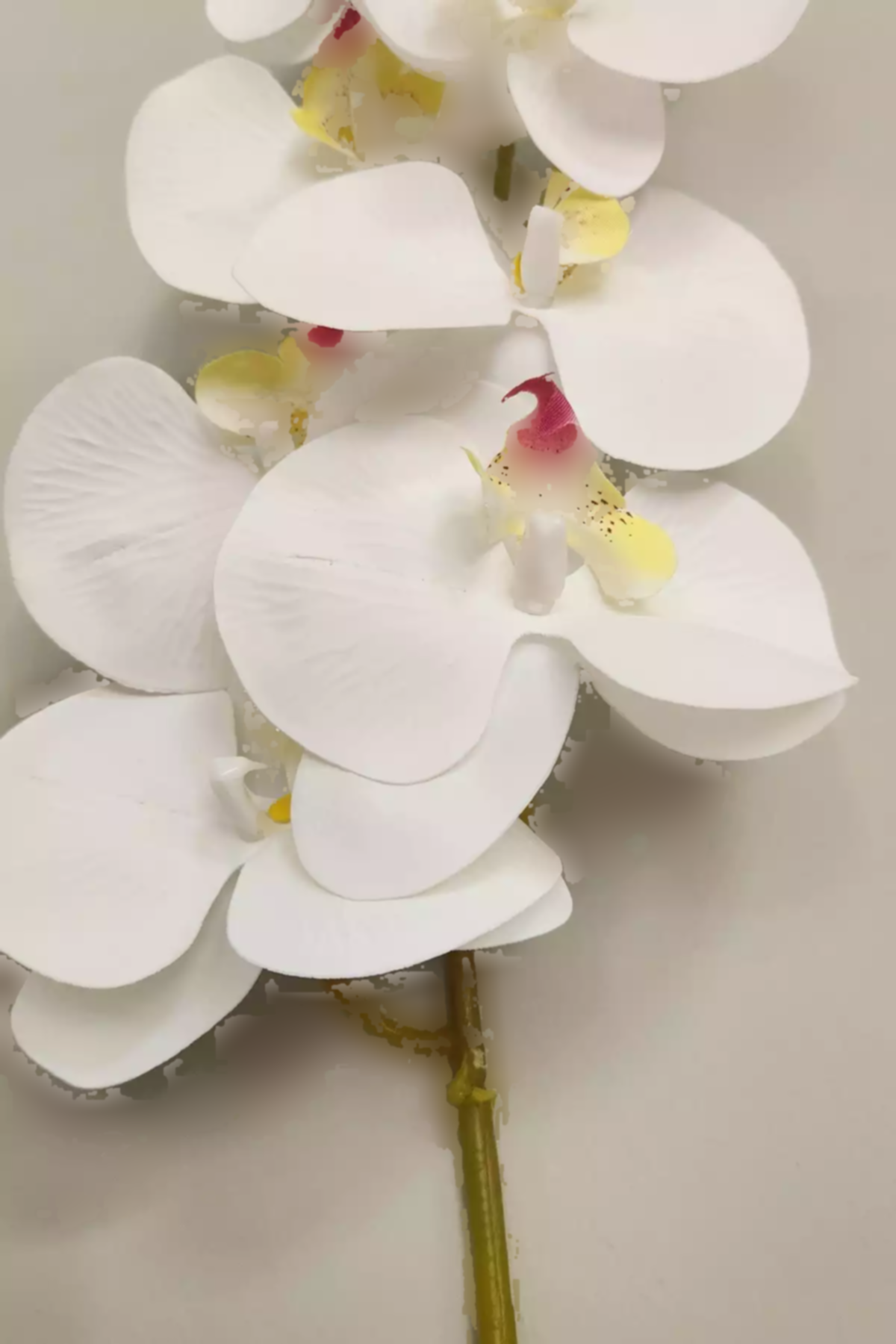 گلدار مصنوعی بزرگ به صورت ارکیده سفید واقعی 85cm برند ALSHOP کد 1753579331