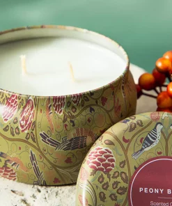 شمع معطر 2270 برند English Home کد 1754460326