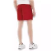 شلوارک 50 قرمز مردانه لباس شنا برند Skechers کد 1754215284