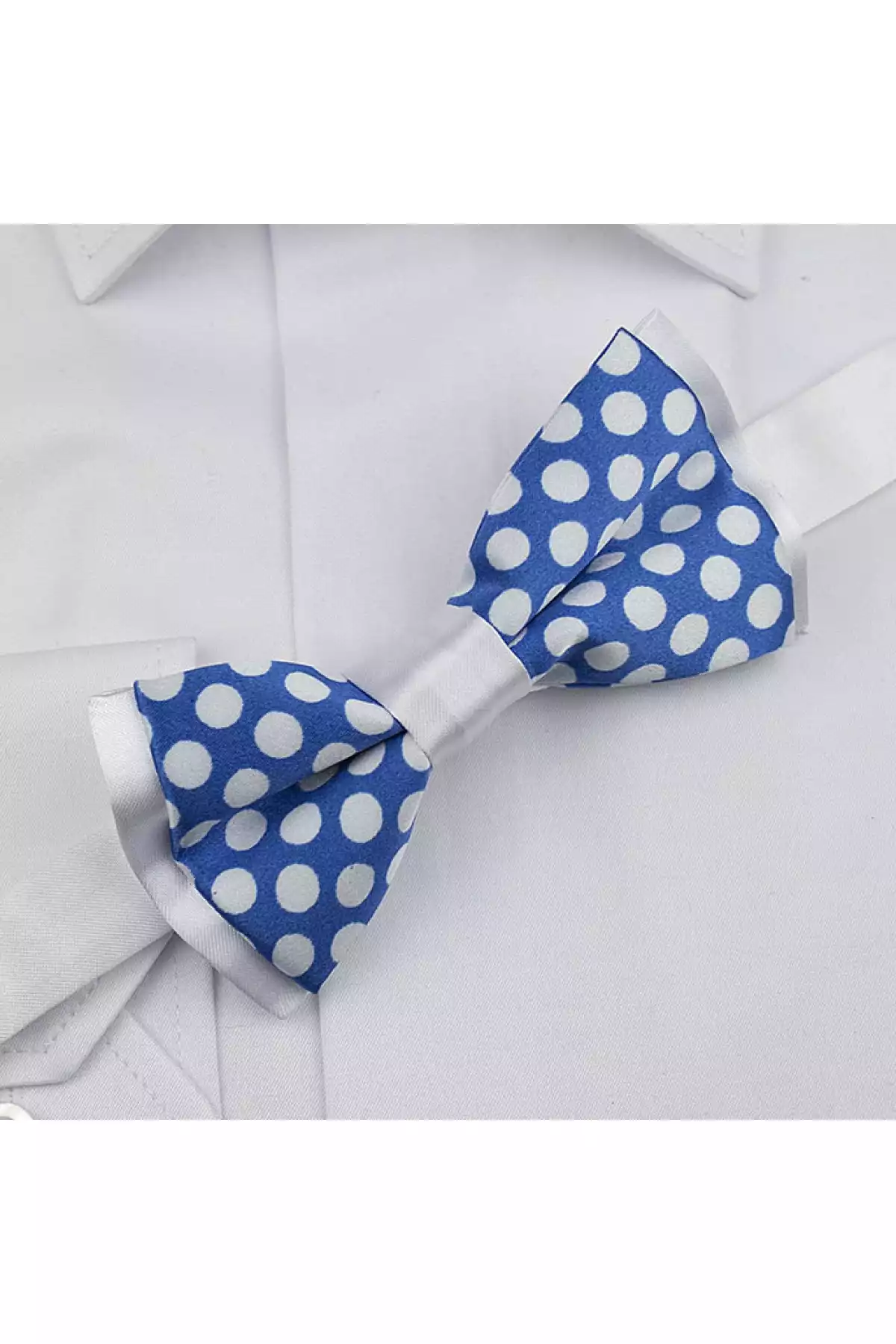 پاپیون خالدار سفید آبی برند Gaffy کد 1758422531