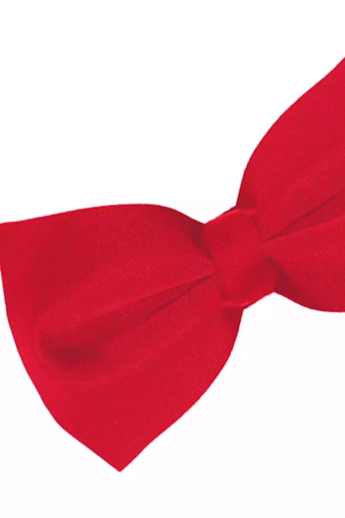 پاپیون بسته قرمز مردانه برند Tudors کد 1758385392