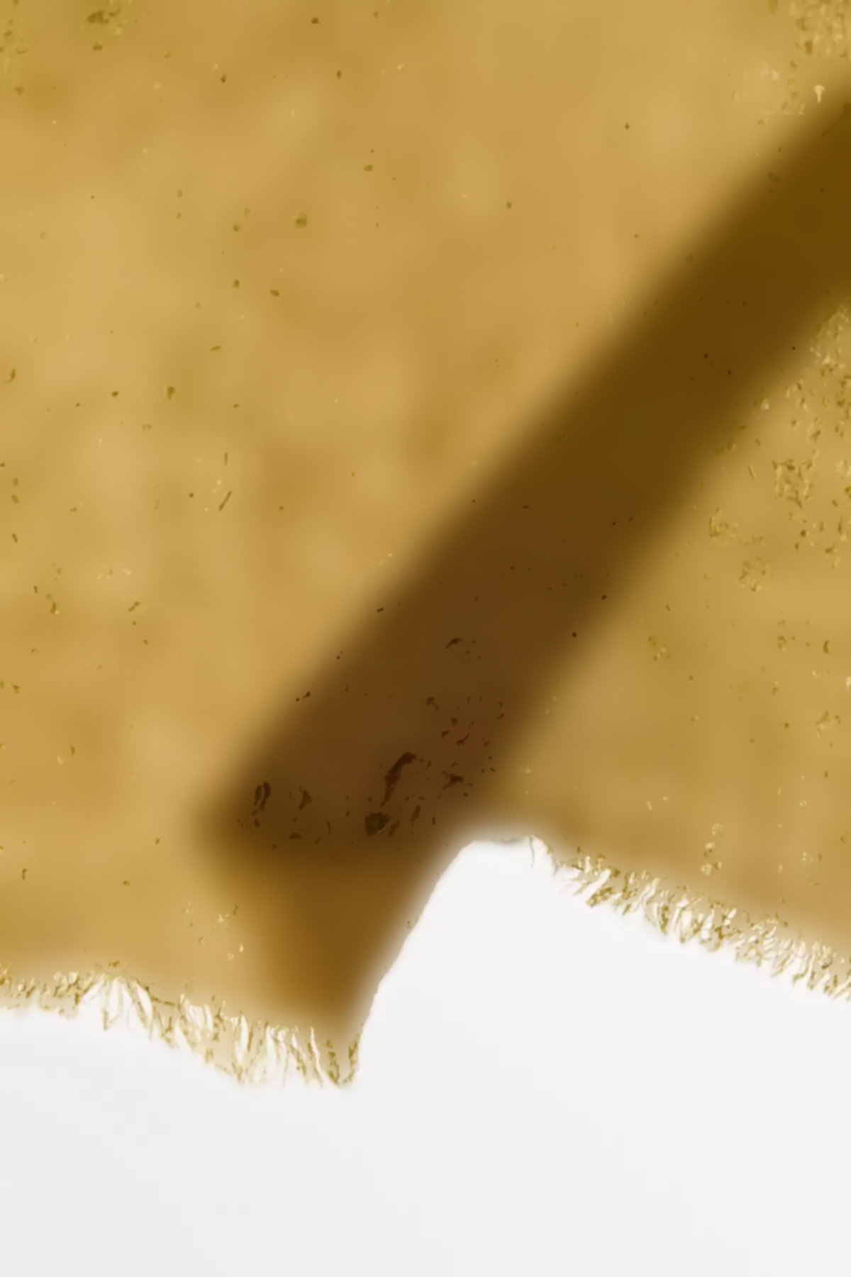 شال گردن برند Massimo Dutti کد 1757930646