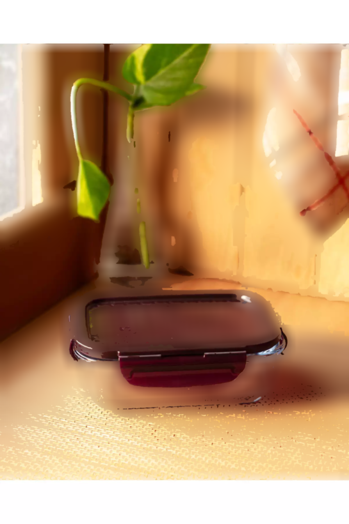 ظرف نگهداری مستطیلی شیشه ای دربدار برند Madame Coco کد 1758490326