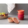 ظرف نگهداری کوچک پلاستیکی 250میلی لیتر قرمز برند English Home کد 1758385269
