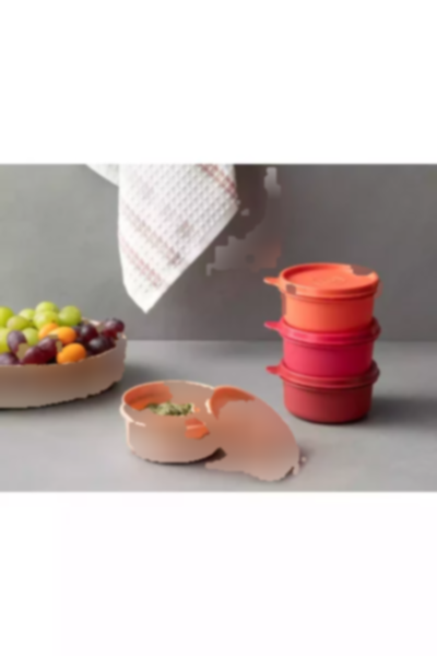 ظرف نگهداری کوچک پلاستیکی 250میلی لیتر قرمز برند English Home کد 1758385269