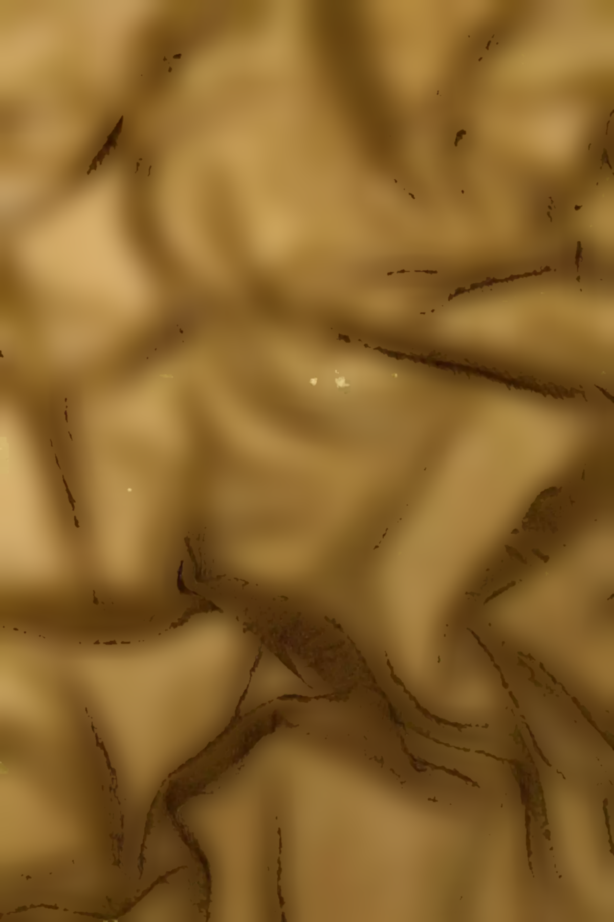 شال گردن برند Massimo Dutti کد 1757930646