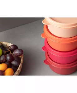 ظرف نگهداری کوچک پلاستیکی 250میلی لیتر قرمز برند English Home کد 1758385269