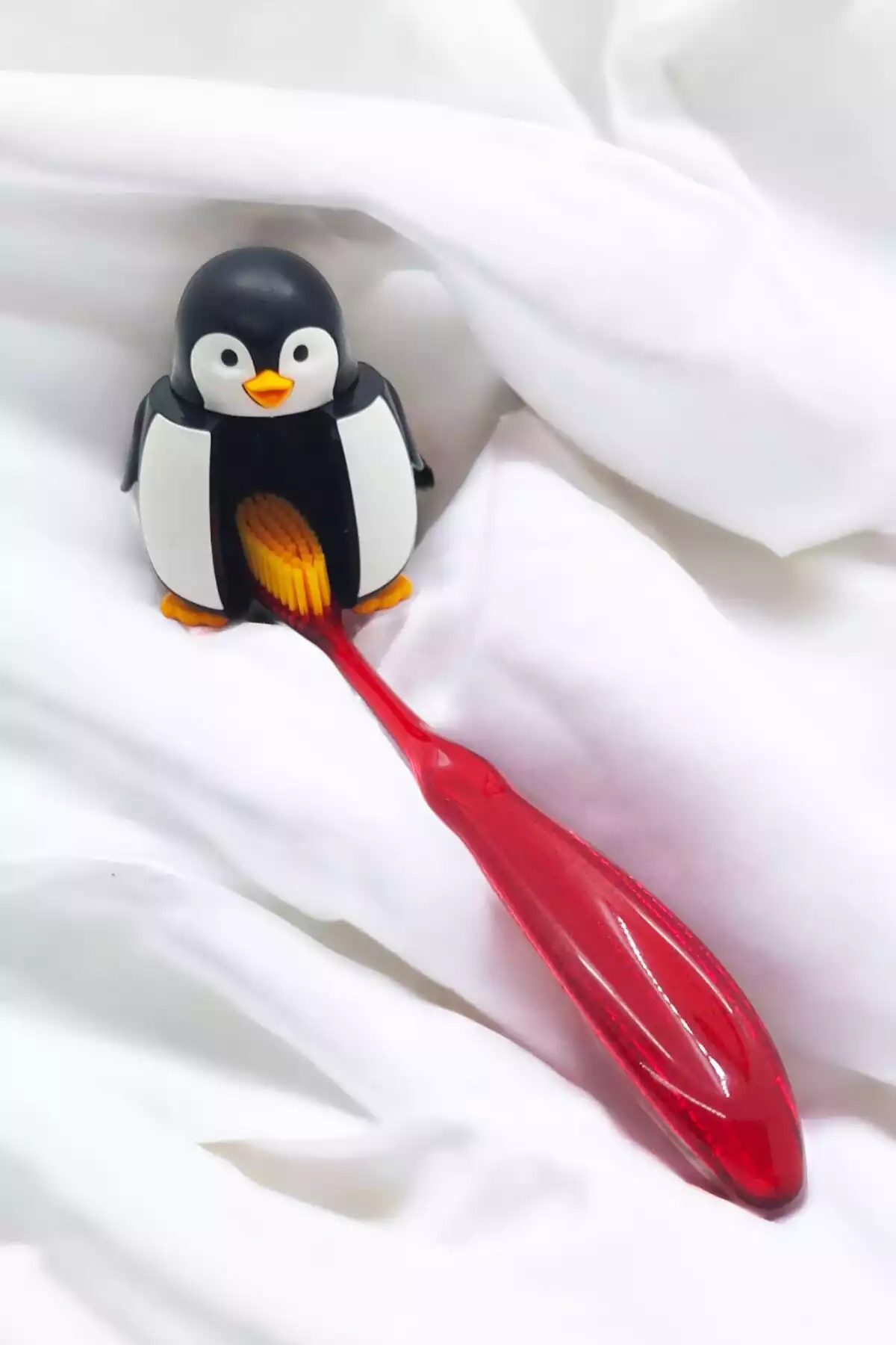 ظرف نگهداری مسواک ست پنگوئن Junior قرمز برند R.O.C.S. کد 1757335330