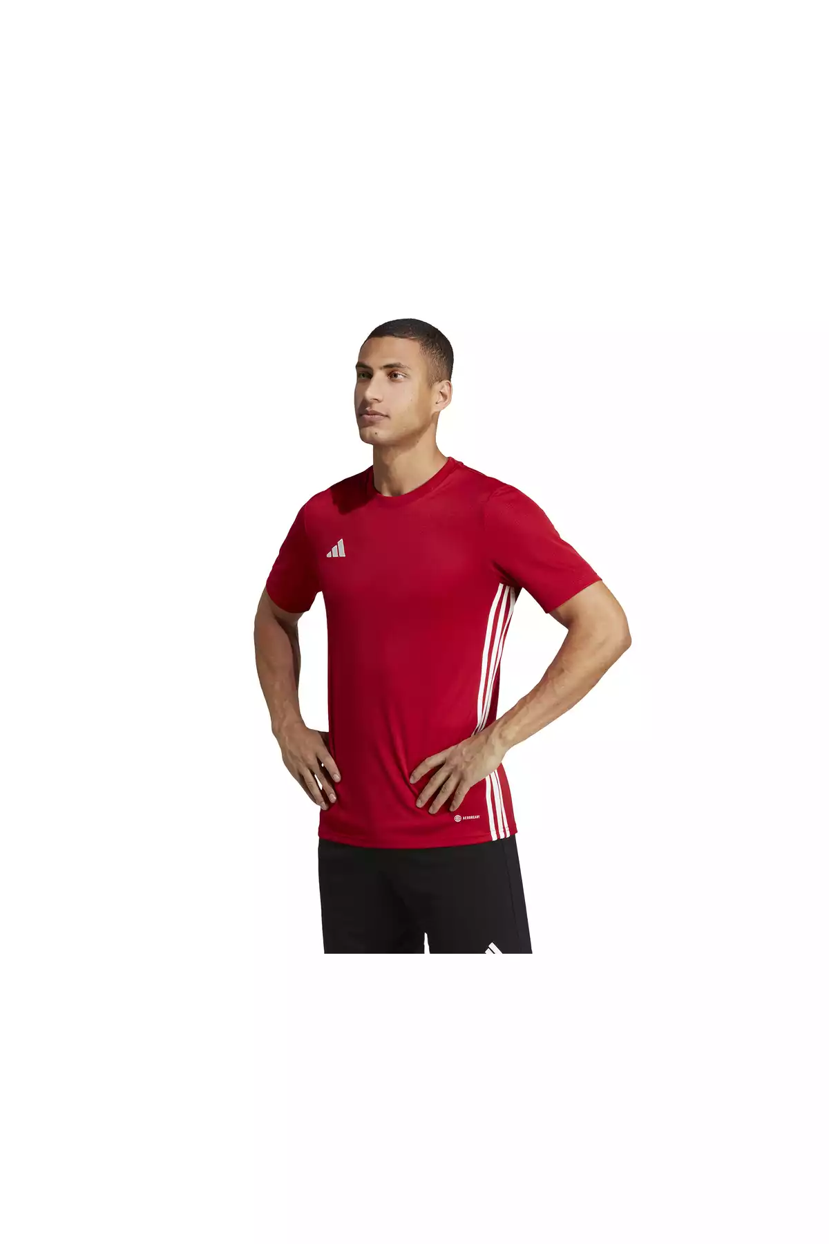 ست شلوارک تیشرت ورزشی روزانه & به ورزش برند adidas کد 1759200672