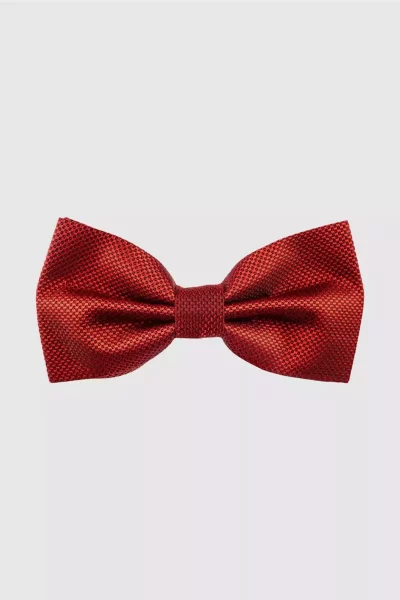 پاپیون طرحدار قرمز مردانه برند Tudors کد 1758130264