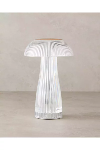 تزئینی آکریلیک شفاف برند English Home کد 1757129470