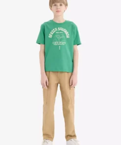 تیشرت کوتاه آستین پسرانه با یقه دوچرخه و طرح چاپی E0176A825HS برند Defacto - 926704268