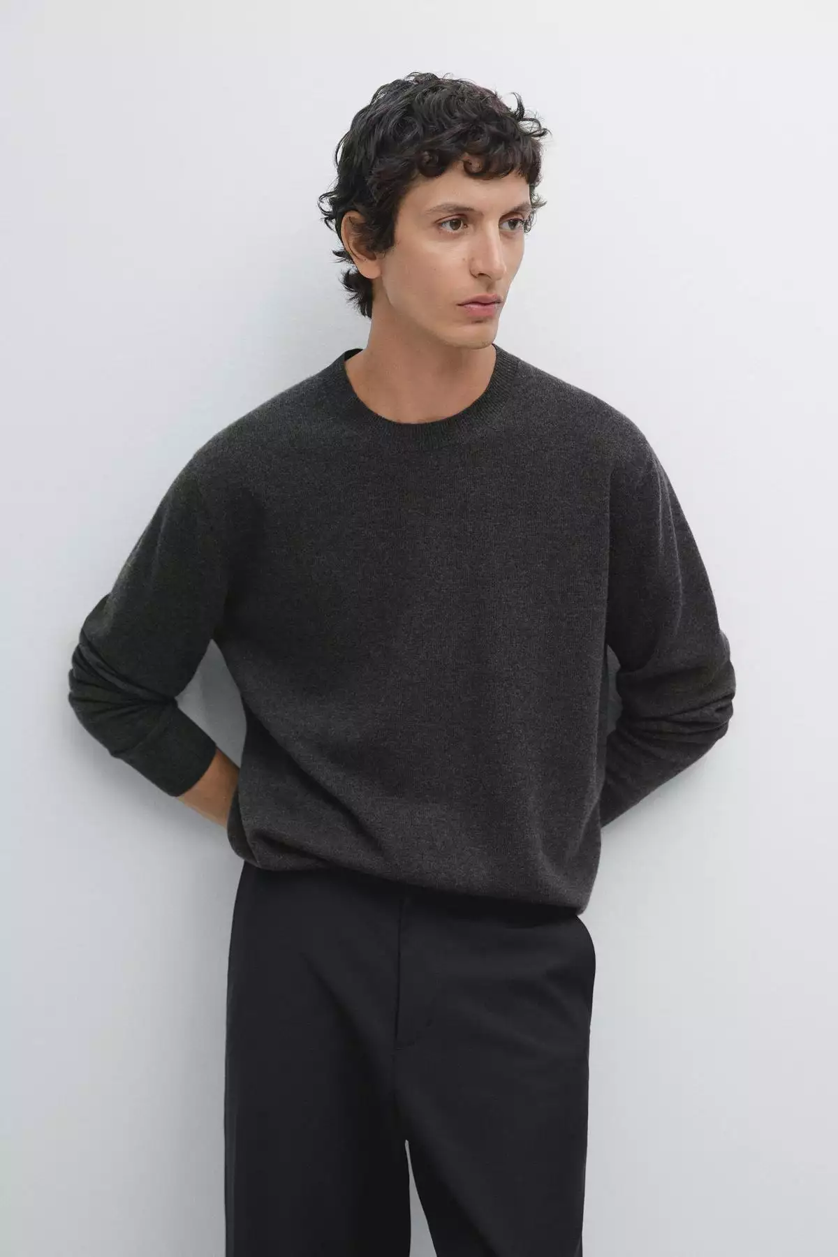 ژاکت یقه گرد ترکیبی از پشم یوزک برند Massimo Dutti - 1033254318