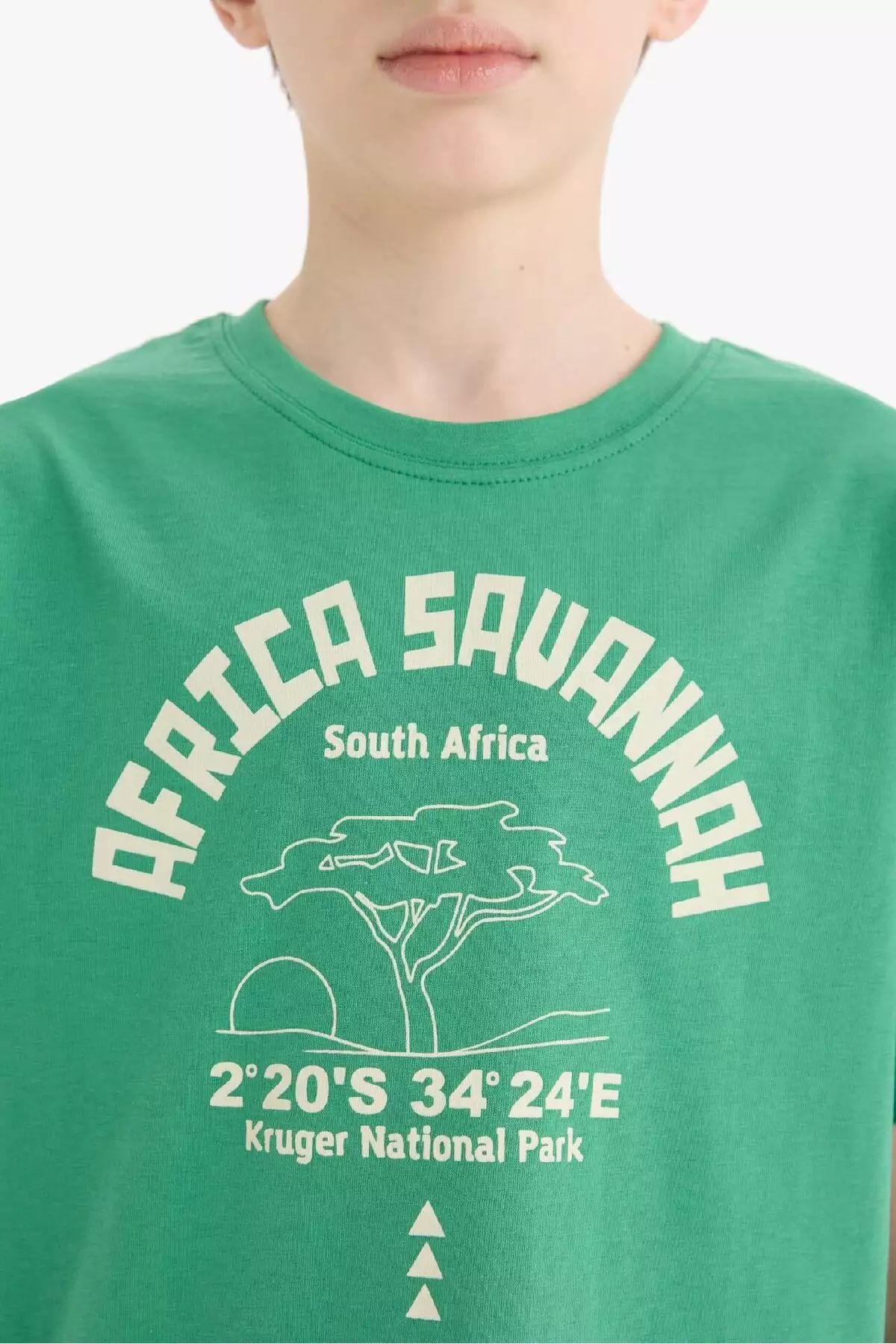 تیشرت کوتاه آستین پسرانه با یقه دوچرخه و طرح چاپی E0176A825HS برند Defacto - 926704268