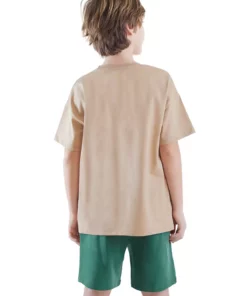 ست تیشرت و شلوارک پسربچه دایناسوری تابستانی برند Denokids - 903816760