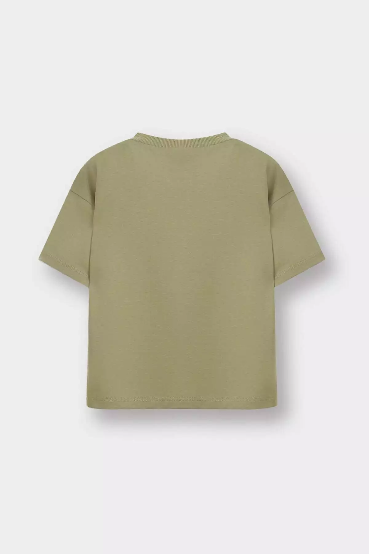 تیشرت کوتاه آستین با یقه گرد و چاپی برای پسر بچه مدل D7928A525SM برند Defacto - 947711476