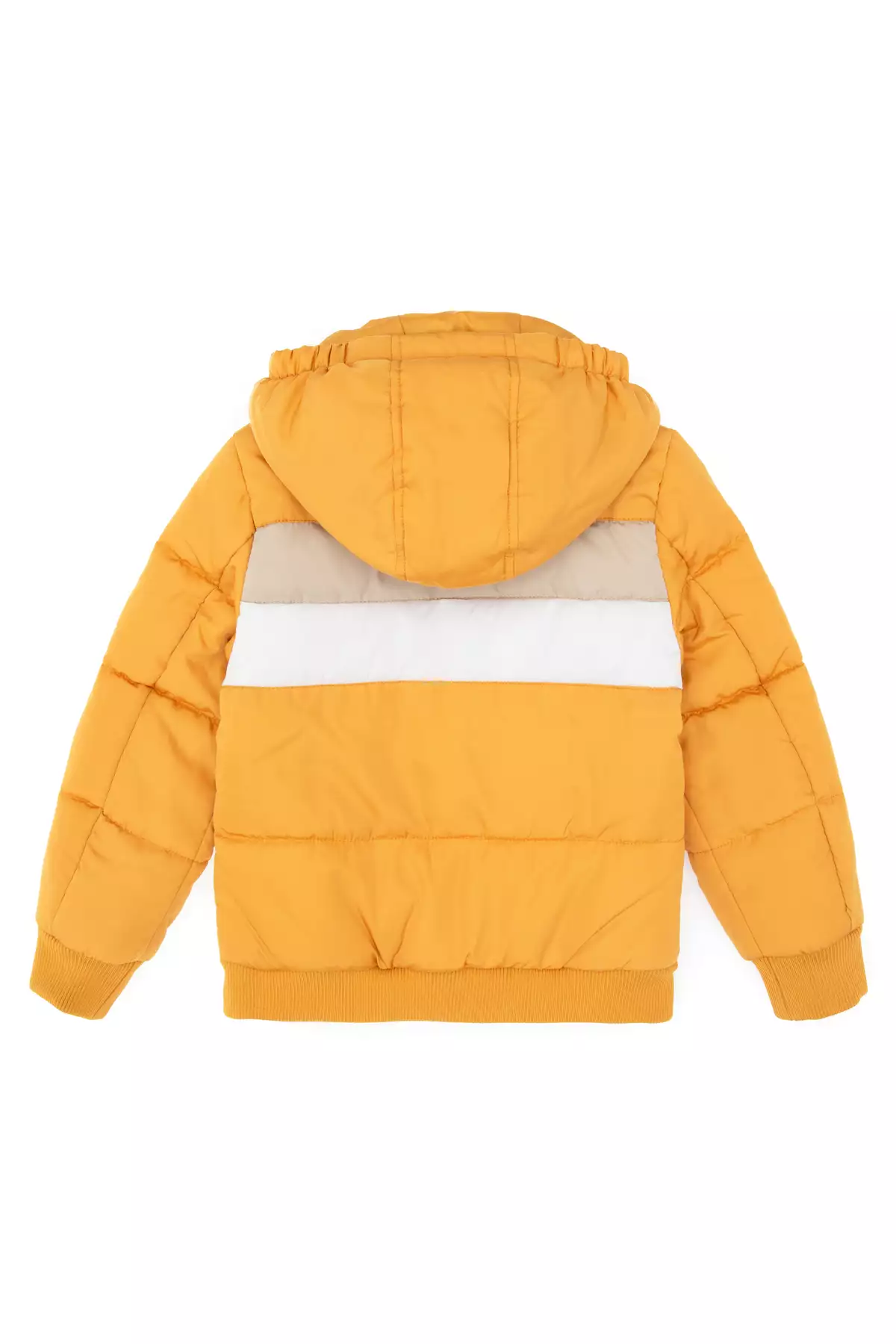 کاپشن خردلی مخصوص پسران 50312096-VR072 برند U.S. Polo Assn. - 1039322683