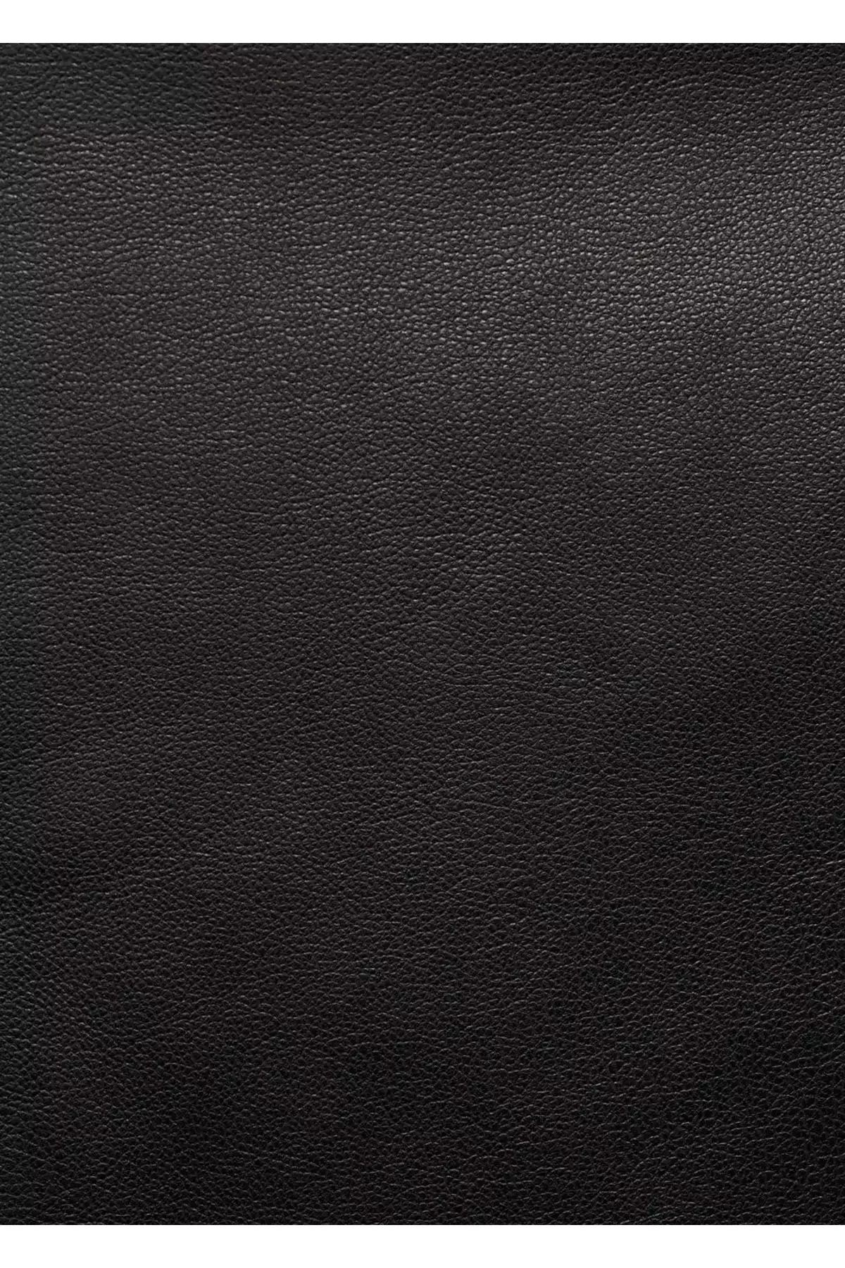 دامن با ظاهر چرم برند MANGO - 848896005