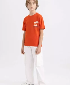 تیشرت کوتاه آستین با یقه دوچرخهای و چاپ پشت برای پسران - کد C3309A824SM برند Defacto - 822108989