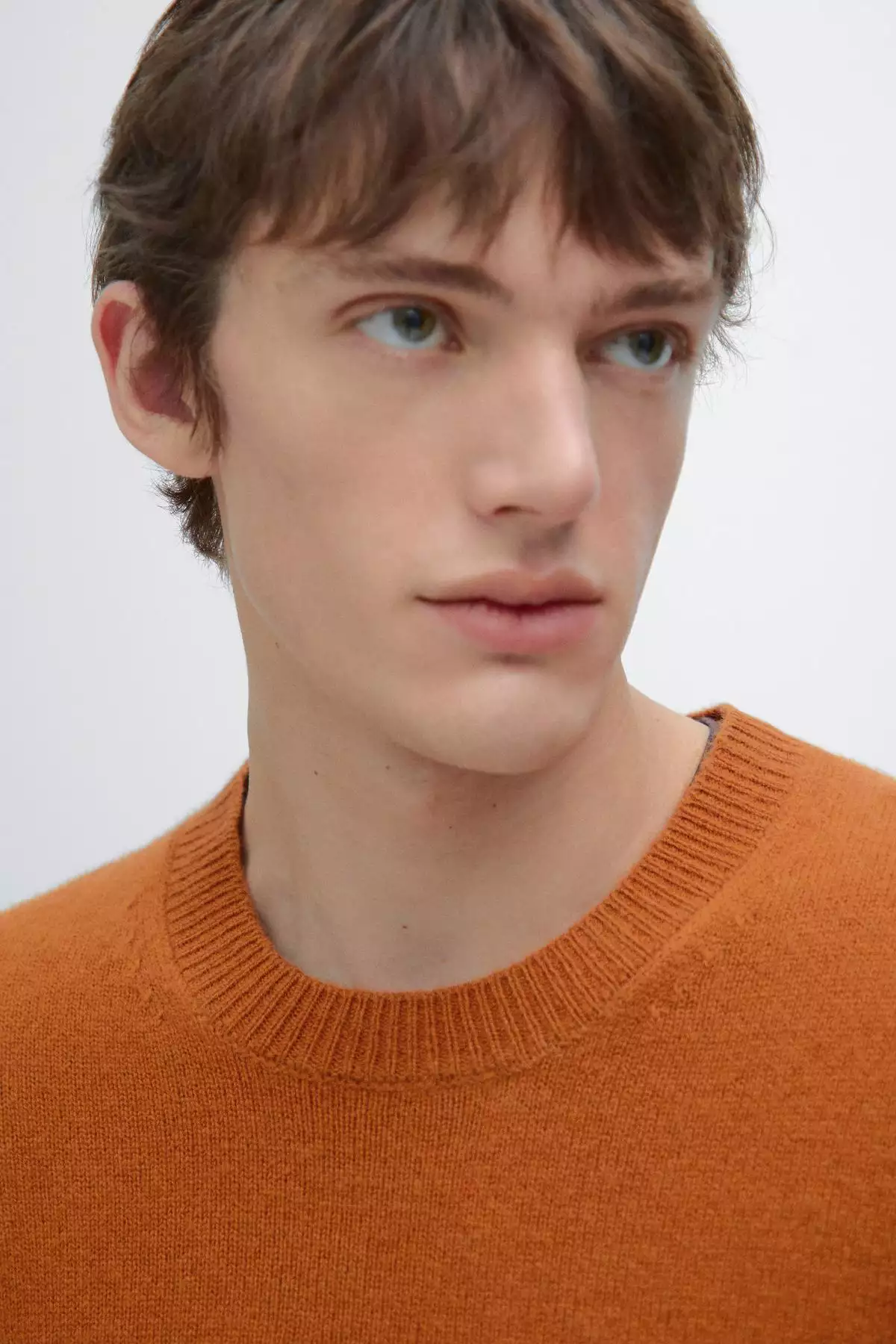 پلیور با یقه گرد از ترکیب پشم یان برند Massimo Dutti - 995471520