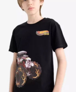 تیشرت کوتاه آستین مردانه بچهگانه هات ویلز با یقه گرد مدل E4824a825sm برند Defacto - 926701980