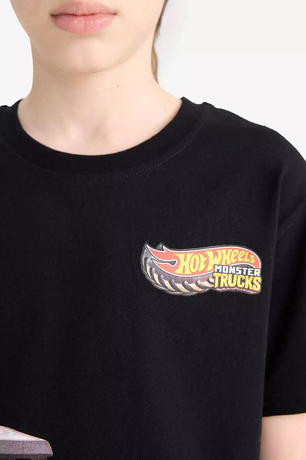 تیشرت کوتاه آستین مردانه بچهگانه هات ویلز با یقه گرد مدل E4824a825sm برند Defacto - 926701980