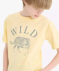 تیشرت کوتاه آستین کودکانه پسرانه با یقه دوچرخه و طرح چاپی F0181A825SM برند Defacto - 926706167