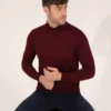 پلیور بافتBasic یقه ی نیمه کانال بولتی فیبر ترکیبی پشم مناسب سایز باریک رنگ Bordo کد 50257313-VR030 برند Pierre Cardin - 828868876