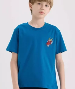 تیشرت آستین کوتاه یقه دوچرخهای با طراحی گلدوزی برای پسر بچهها مدل E0088A825SM برند Defacto - 898826918