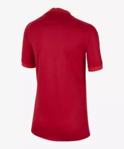 پیراهن خارج از خانه تیم ملی مردان ترکیه 2020 برند Nike - 92525533