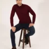 پلیور بافتBasic یقه ی نیمه کانال بولتی فیبر ترکیبی پشم مناسب سایز باریک رنگ Bordo کد 50257313-VR030 برند Pierre Cardin - 828868876