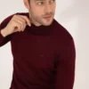 پلیور بافتBasic یقه ی نیمه کانال بولتی فیبر ترکیبی پشم مناسب سایز باریک رنگ Bordo کد 50257313-VR030 برند Pierre Cardin - 828868876