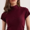 تیشرت یقه ایستاده زنانه با بافت نرم و کشسان در رنگ bordo (قرمز تیره) برند Olalook - 897646260