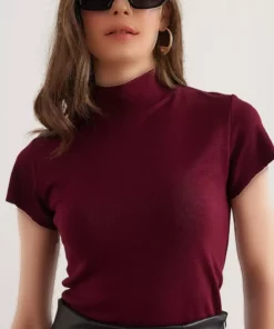 تیشرت یقه ایستاده زنانه با بافت نرم و کشسان در رنگ bordo (قرمز تیره) برند Olalook - 897646260