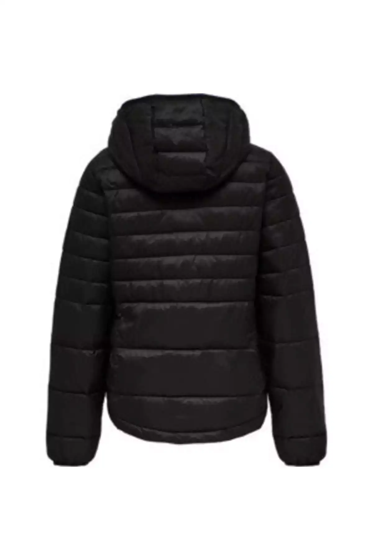 پالتو فیلا برند hummel - 194081757